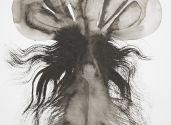 Roslina 36 x 48 cm tusz na papierze 2017